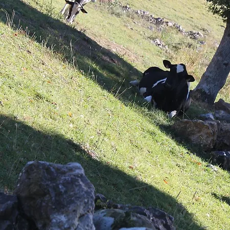 Machorras I Y Ii Country house Barcenas
