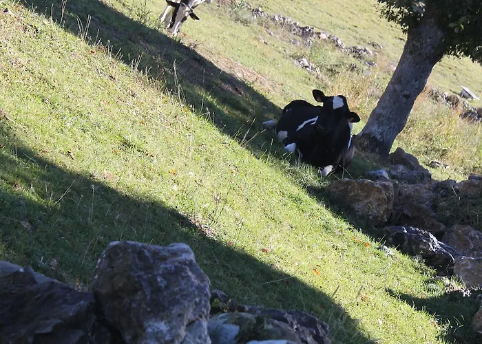 Machorras I Y Ii Casa de Campo Bárcenas